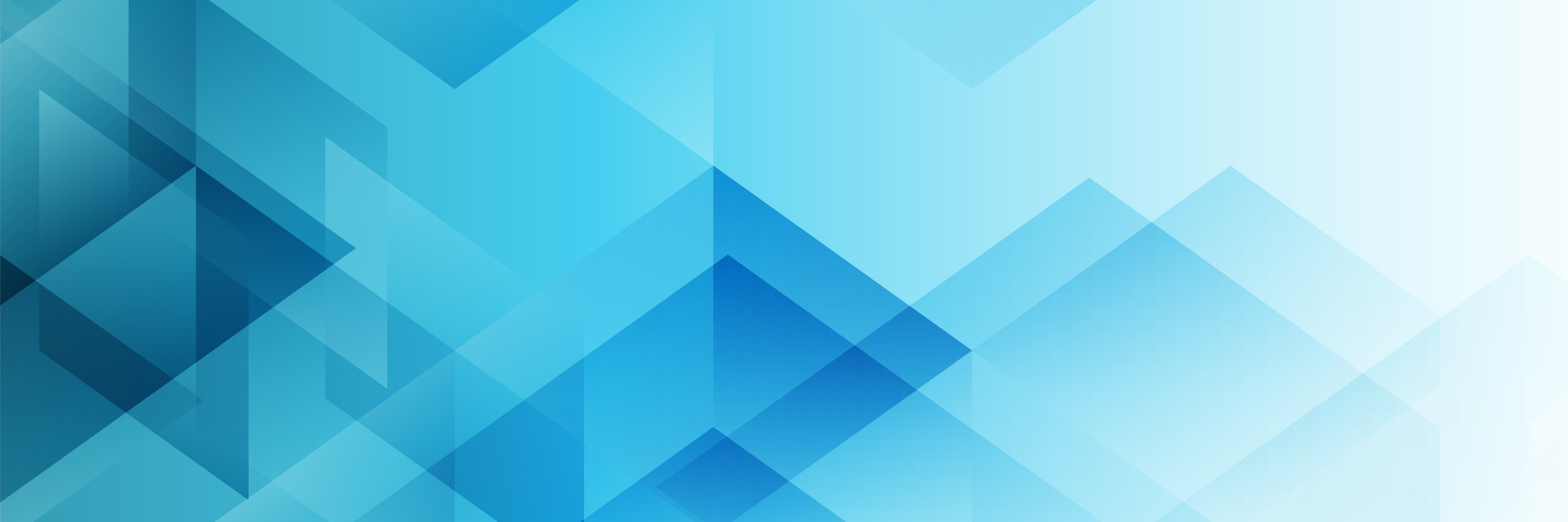 Banner di Cargoway RT